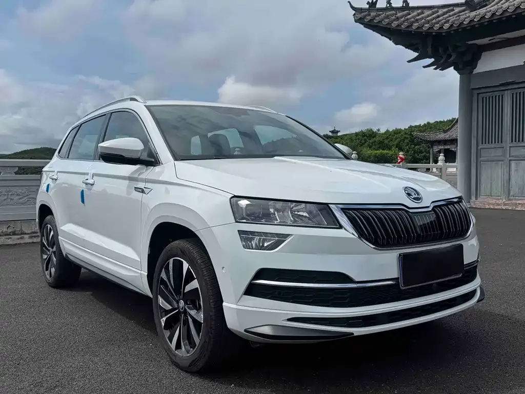Skoda Karoq — фото 9