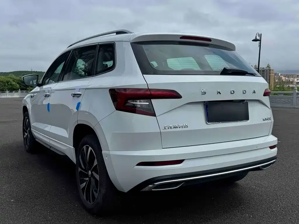 Skoda Karoq — фото 6