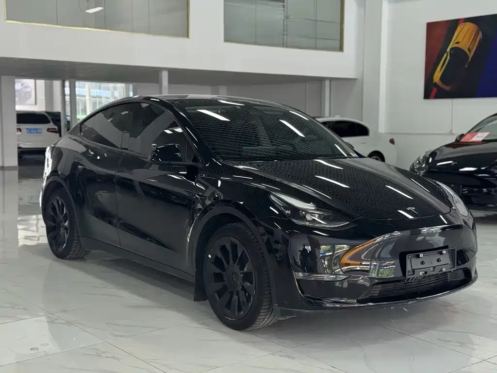 Tesla Model Y — фото 8