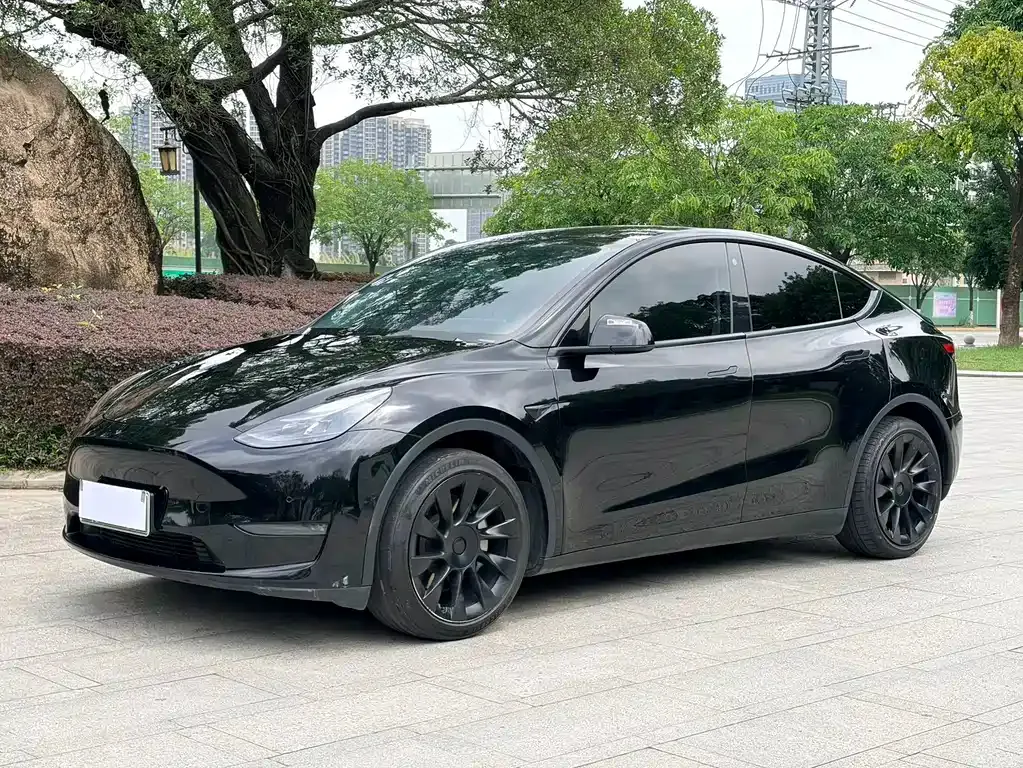 Tesla Model Y — фото 1