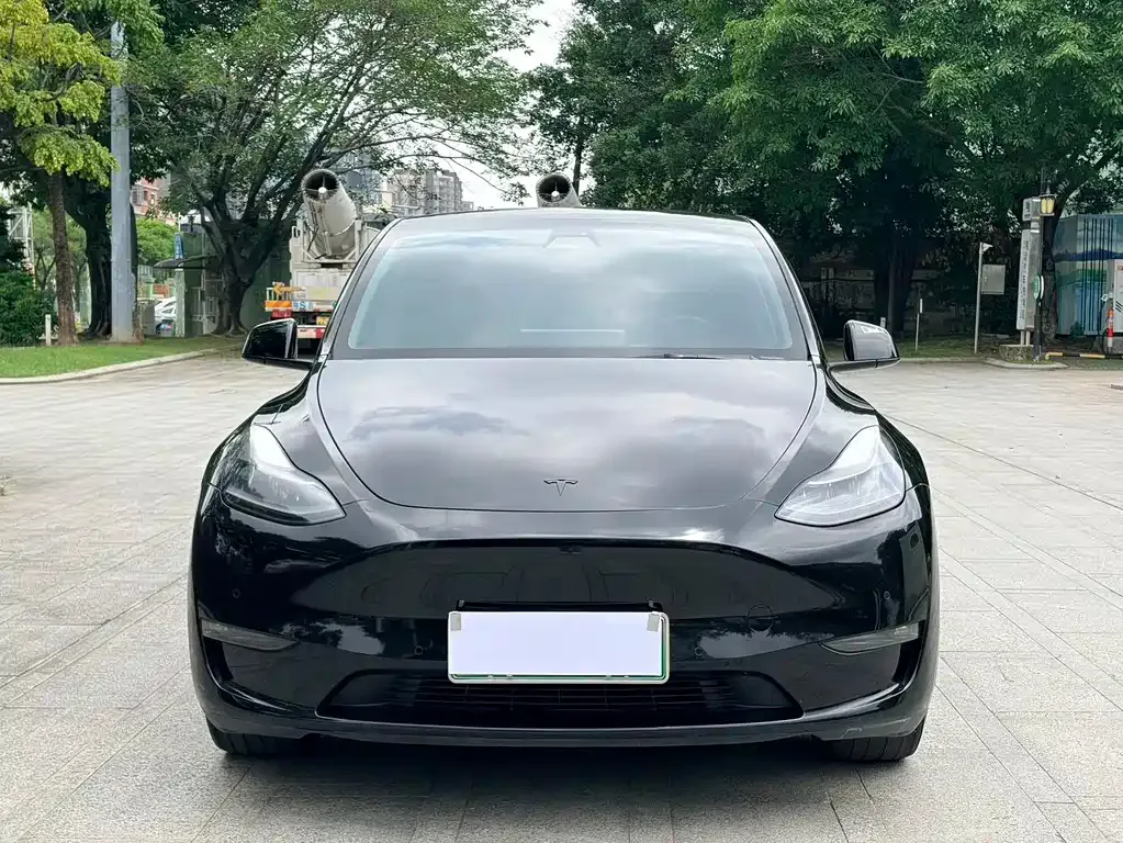 Tesla Model Y — фото 6