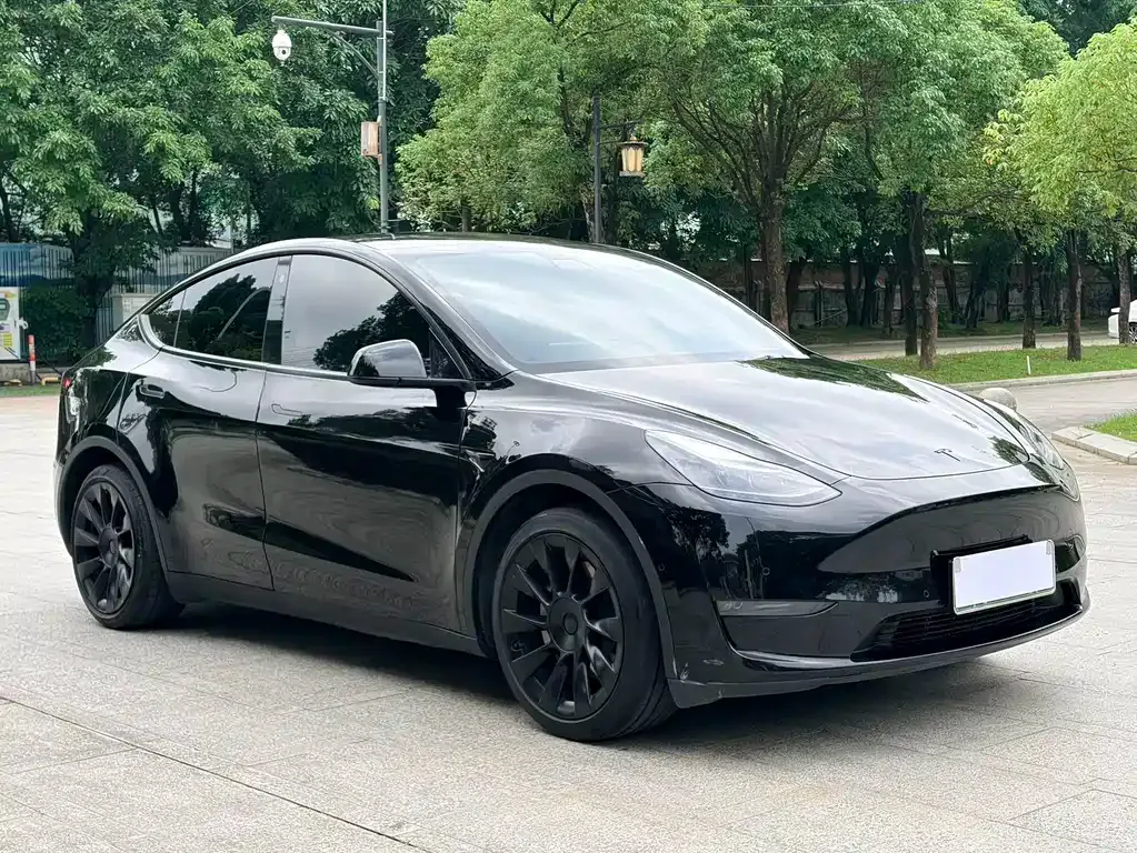 Tesla Model Y — фото 8