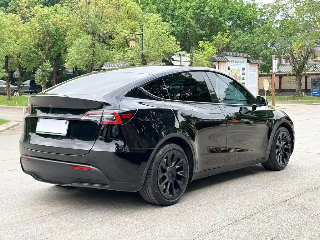 Tesla Model Y — фото 10