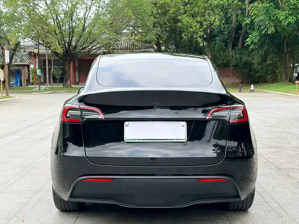 Tesla Model Y — фото 5