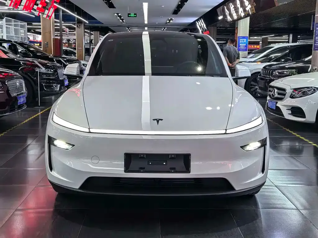 Tesla Model Y — фото 10
