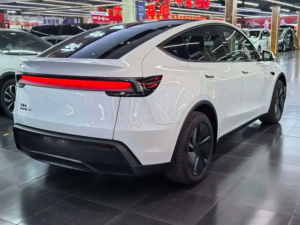 Tesla Model Y — фото 6