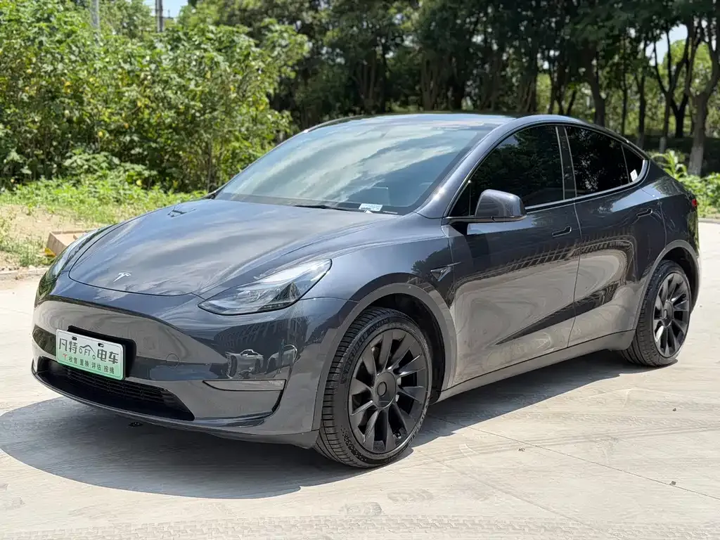 Tesla Model Y — фото 3