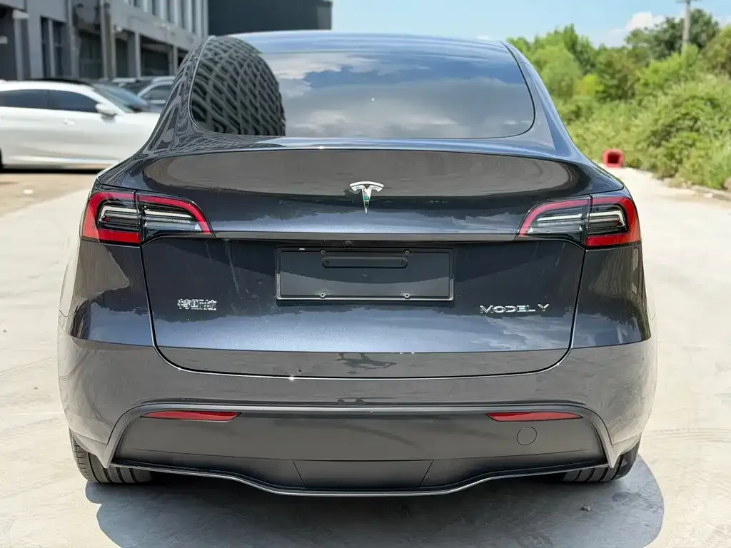 Tesla Model Y — фото 9