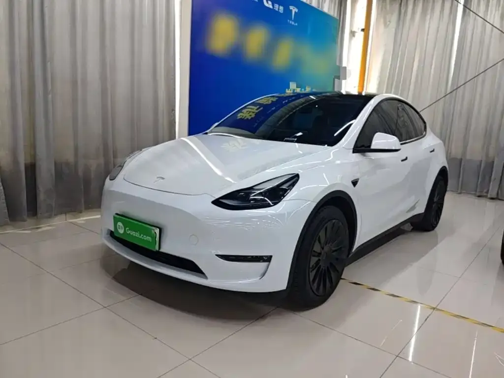 Tesla Model Y — фото 2