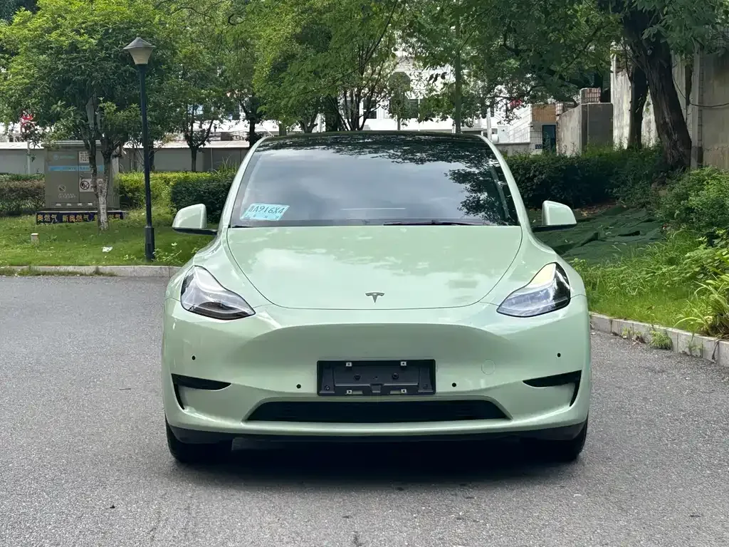 Tesla Model Y — фото 3