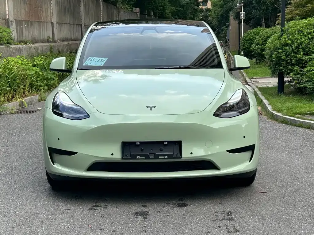 Tesla Model Y — фото 2