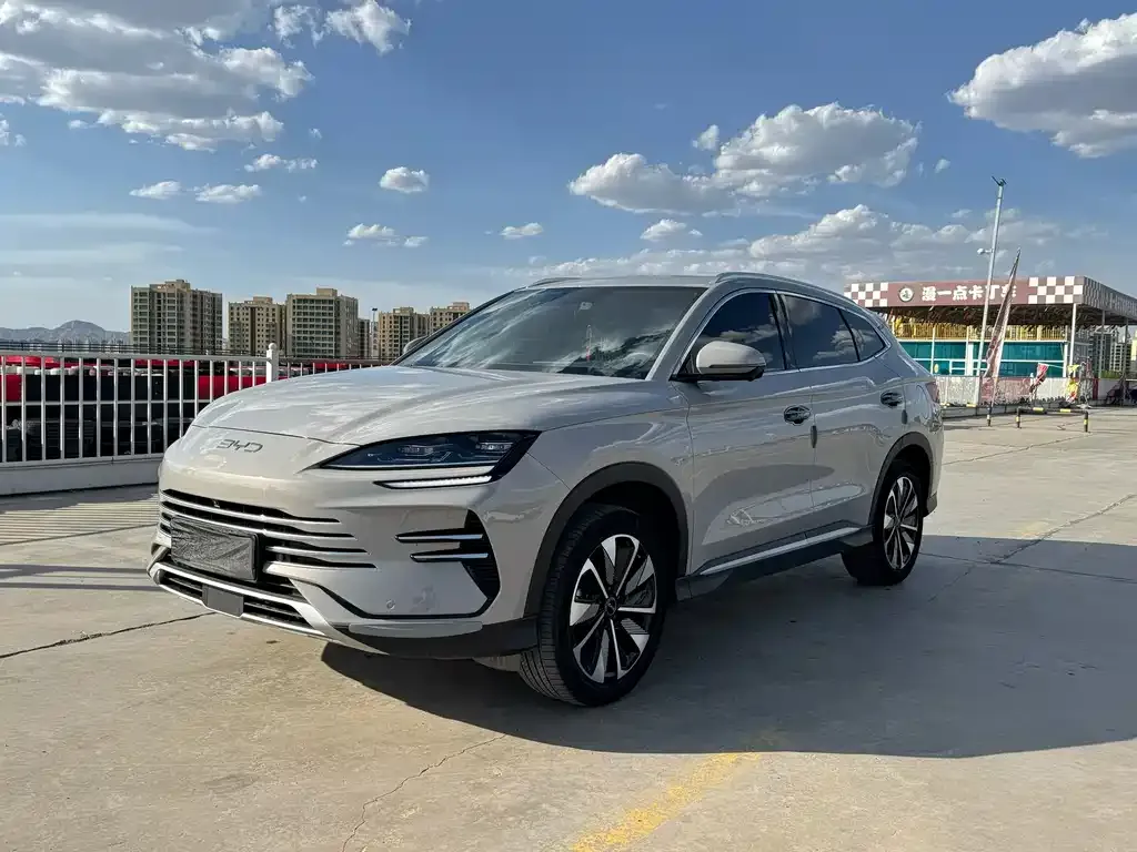 BYD PLUS New Energy — фото 1