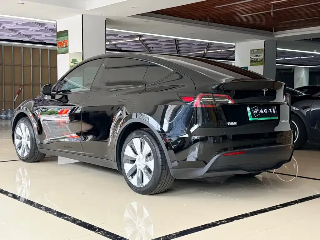 Tesla Model Y — фото 8