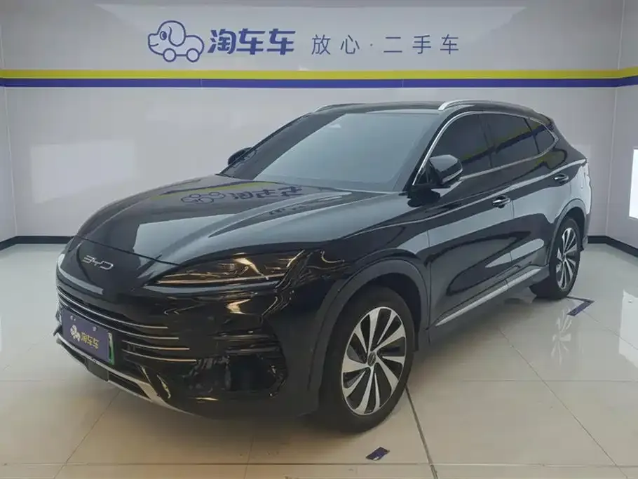 BYD PLUS New Energy — фото 1