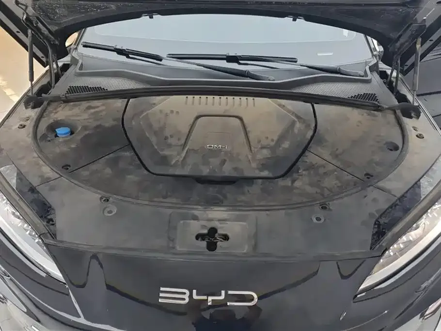 BYD PLUS New Energy — фото 10