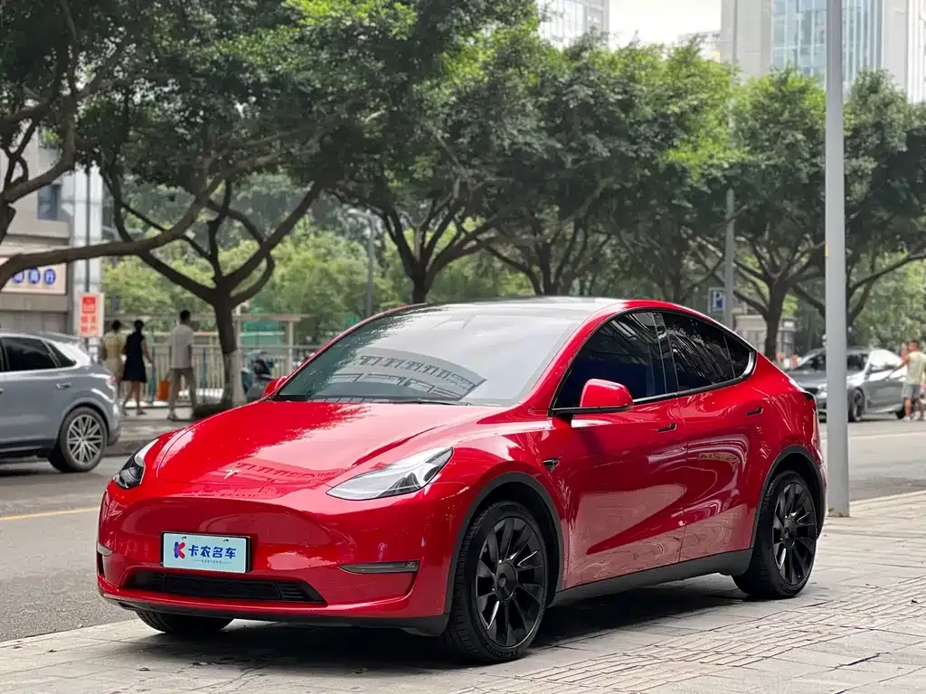 Tesla Model Y — фото 1