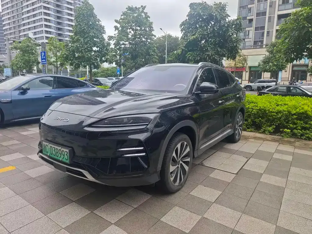 BYD PLUS New Energy — фото 1