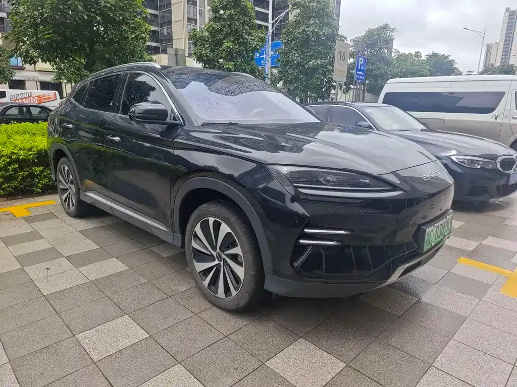 BYD PLUS New Energy — фото 2