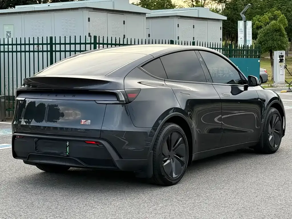 Tesla Model Y — фото 10