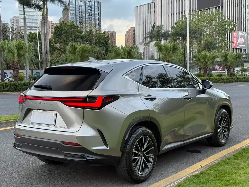 Lexus NX — фото 10