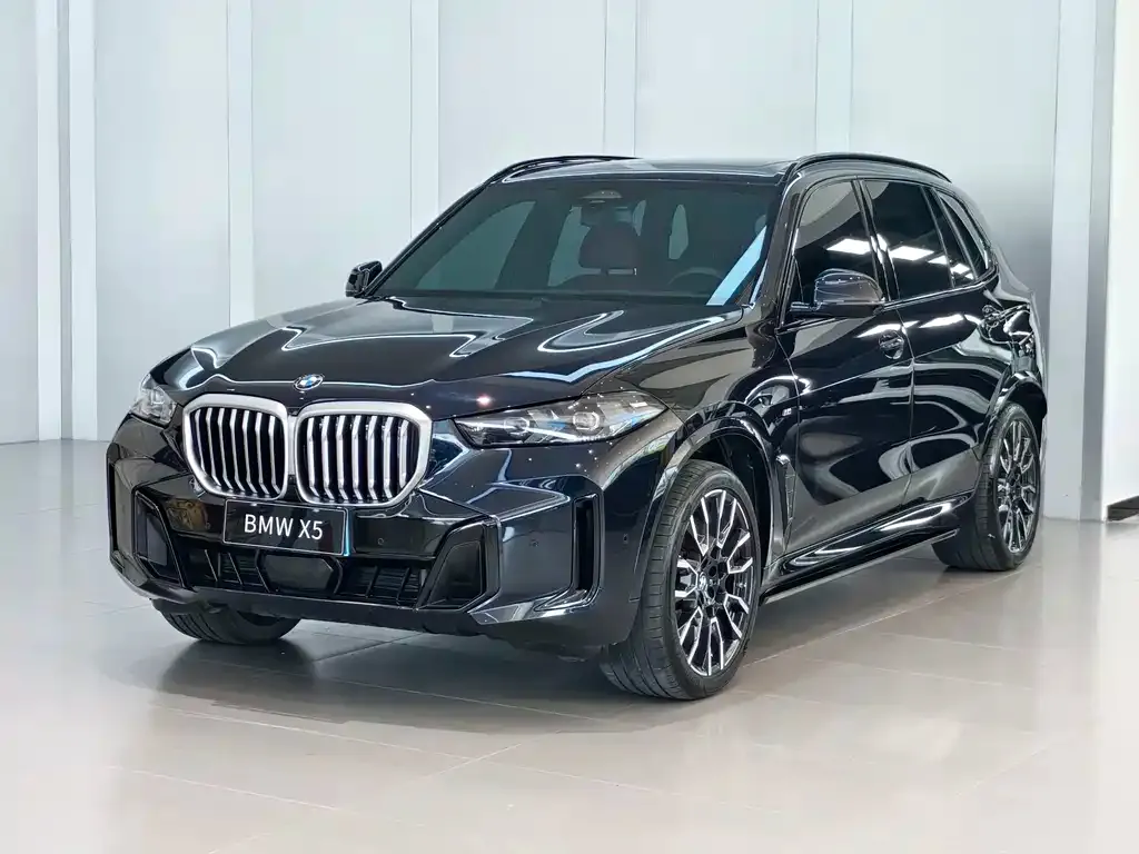 BMW X5 — фото 1