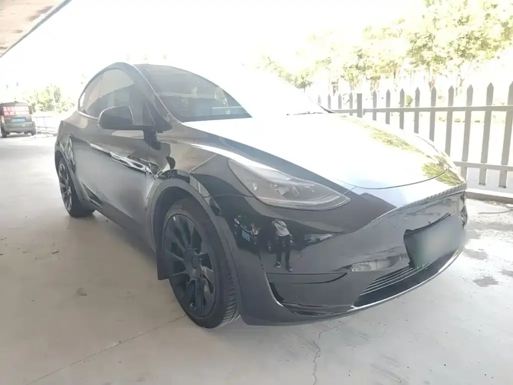 Tesla Model Y — фото 2