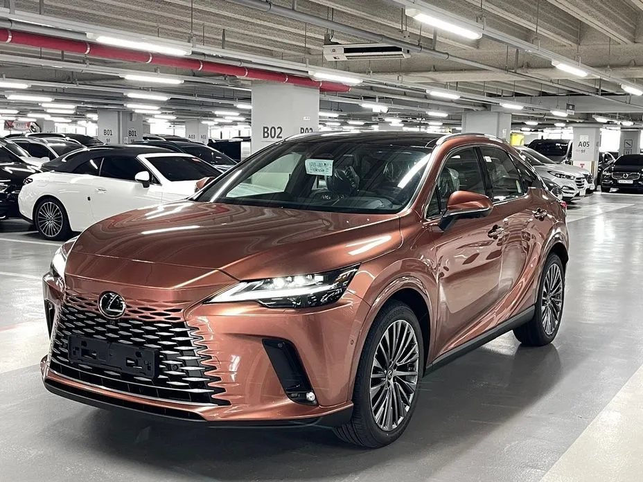 Lexus RX — фото 10