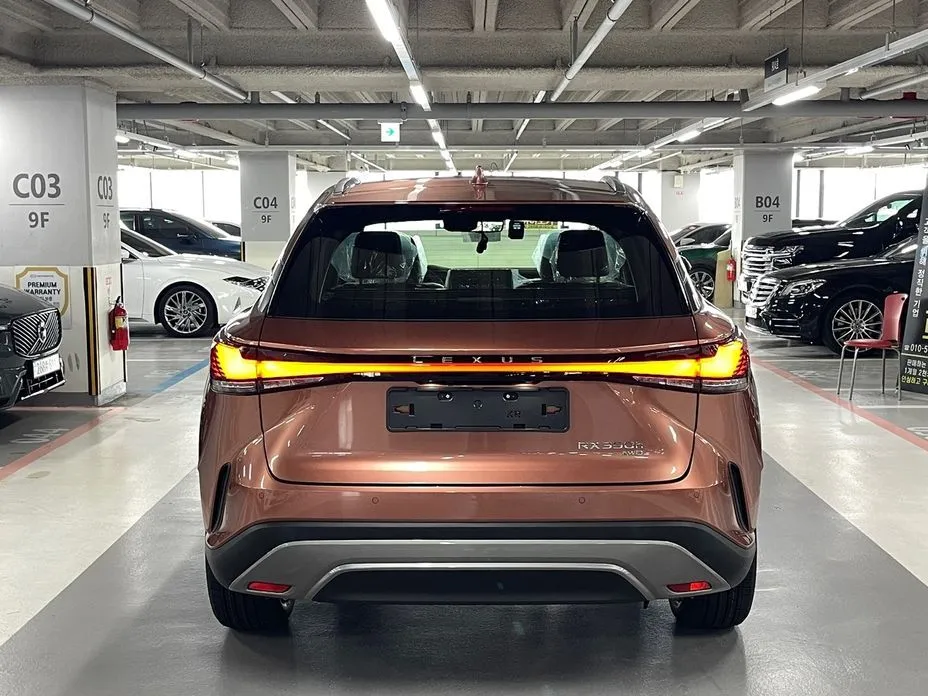 Lexus RX — фото 9