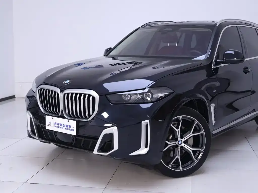 BMW X5 — фото 9