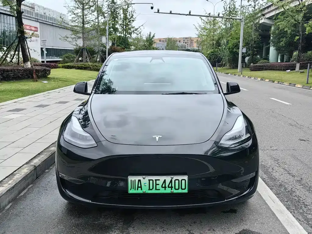 Tesla Model Y — фото 8