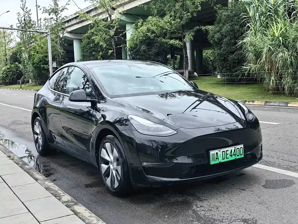 Tesla Model Y — фото 10