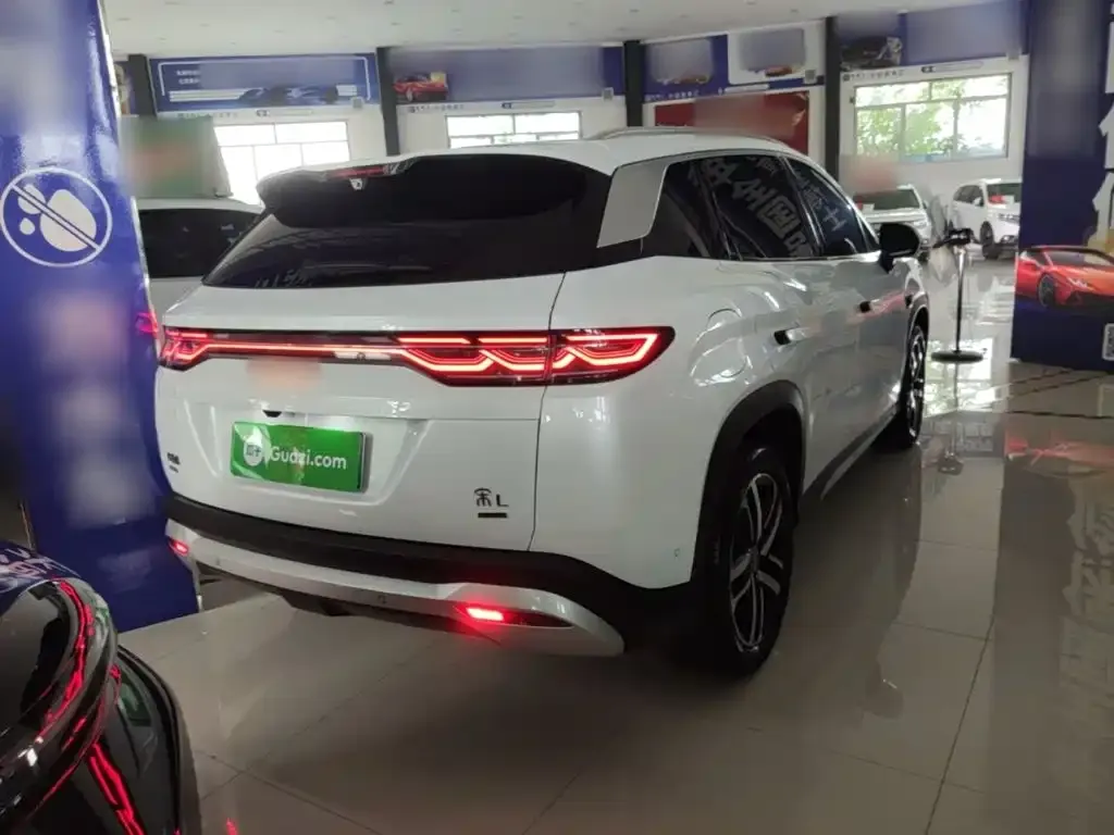 BYD L DM-i — фото 8