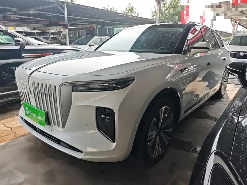Hongqi E-HS9 — фото 9