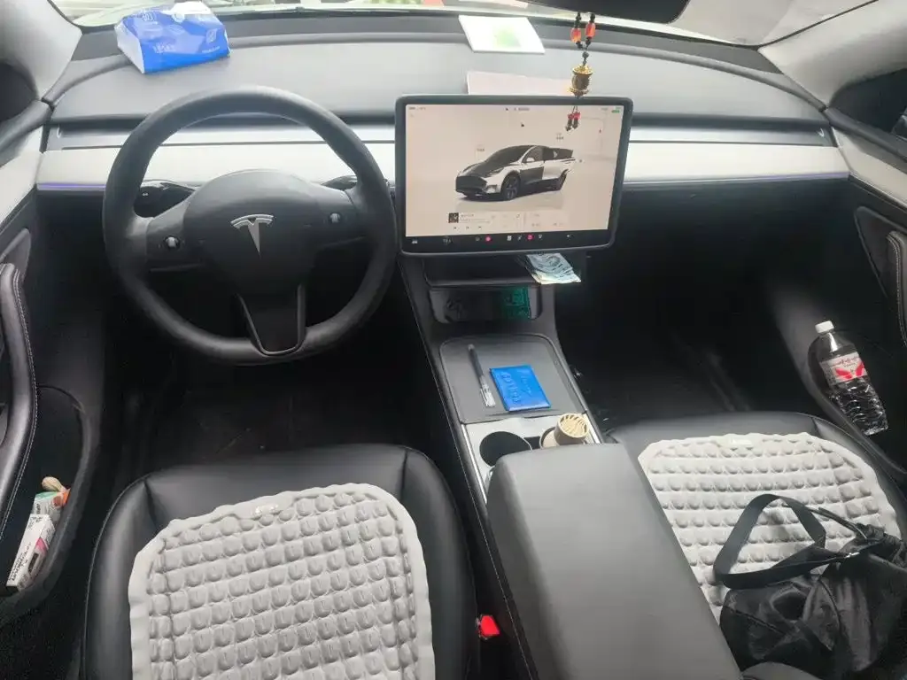 Tesla Model Y — фото 9