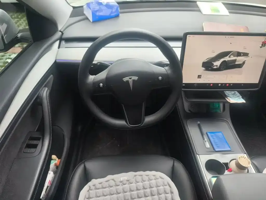 Tesla Model Y — фото 3