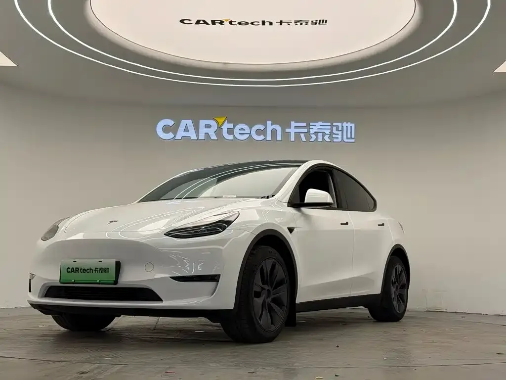 Tesla Model Y — фото 3