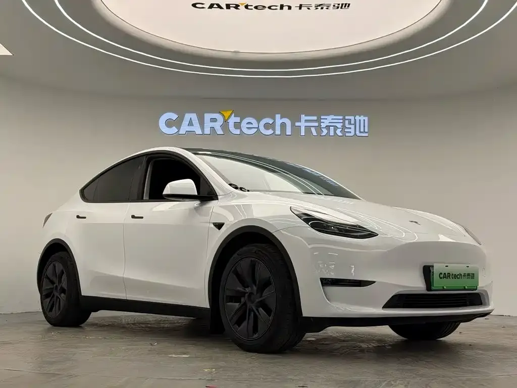 Tesla Model Y — фото 8