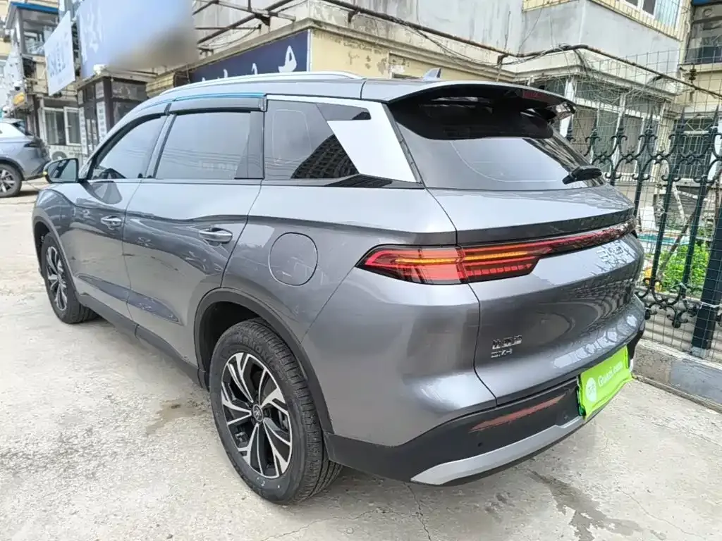 BYD Pro New Energy — фото 5