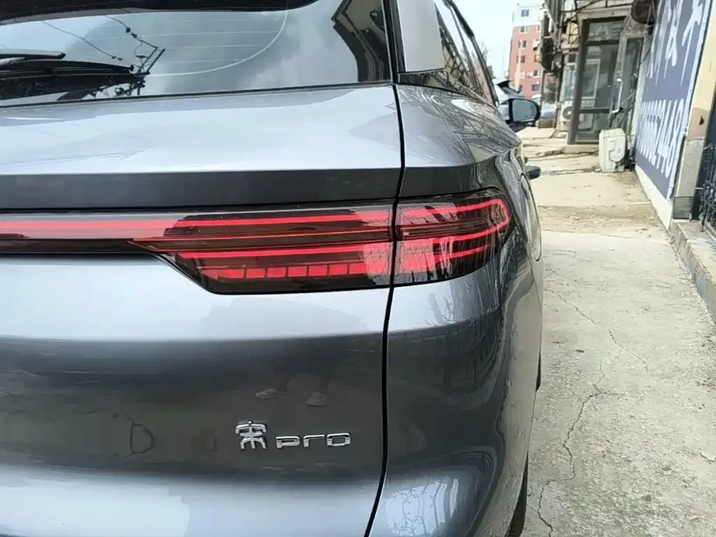 BYD Pro New Energy — фото 4