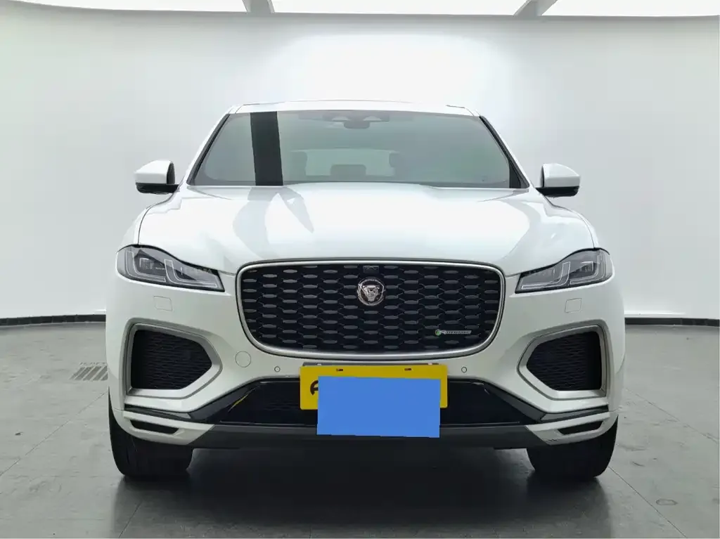 Jaguar F-PACE — фото 6