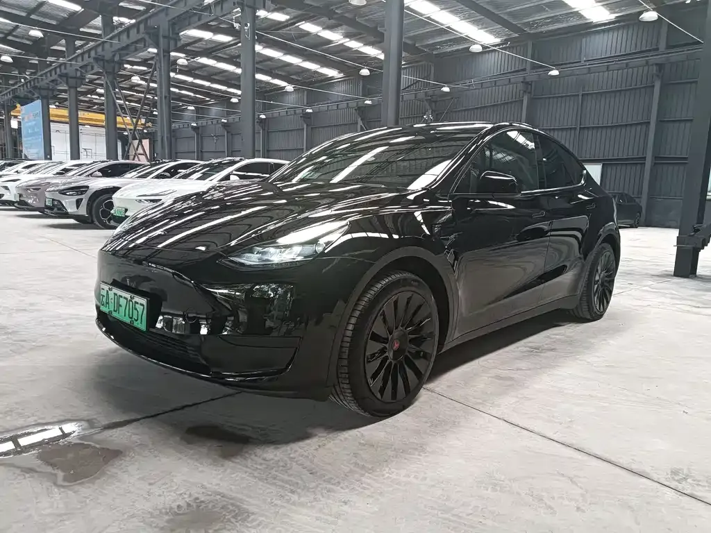 Tesla Model Y — фото 1
