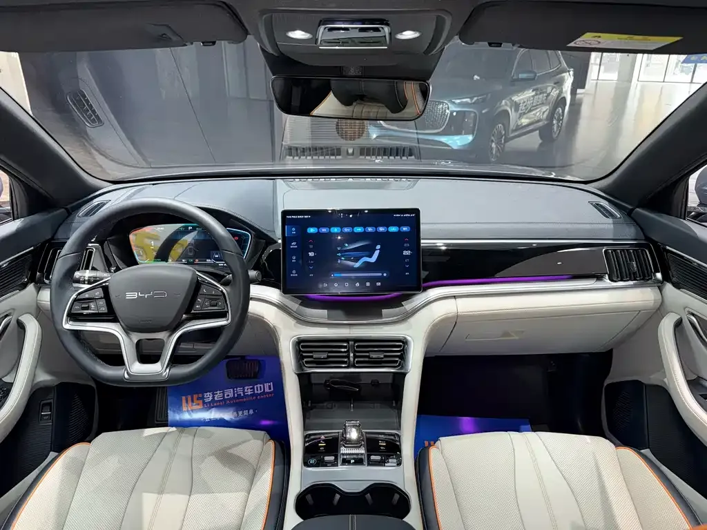 BYD PLUS New Energy — фото 10