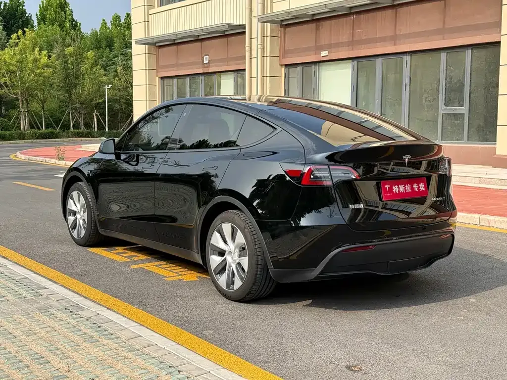 Tesla Model Y — фото 5