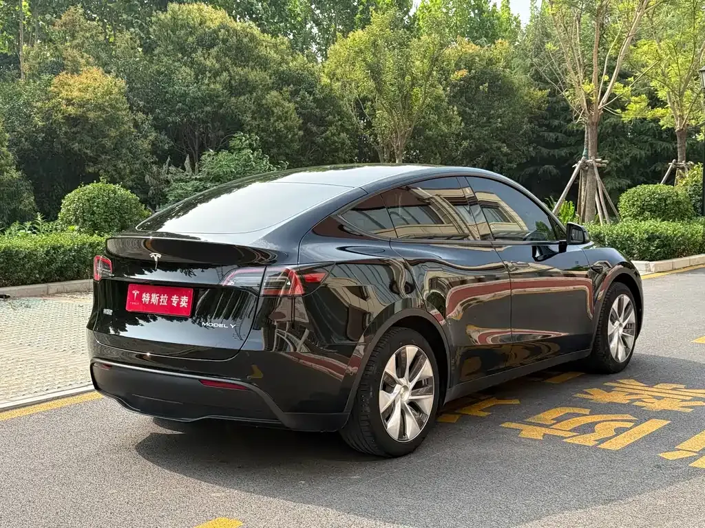 Tesla Model Y — фото 8