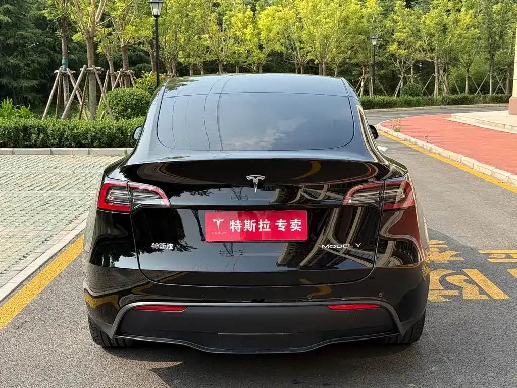 Tesla Model Y — фото 6