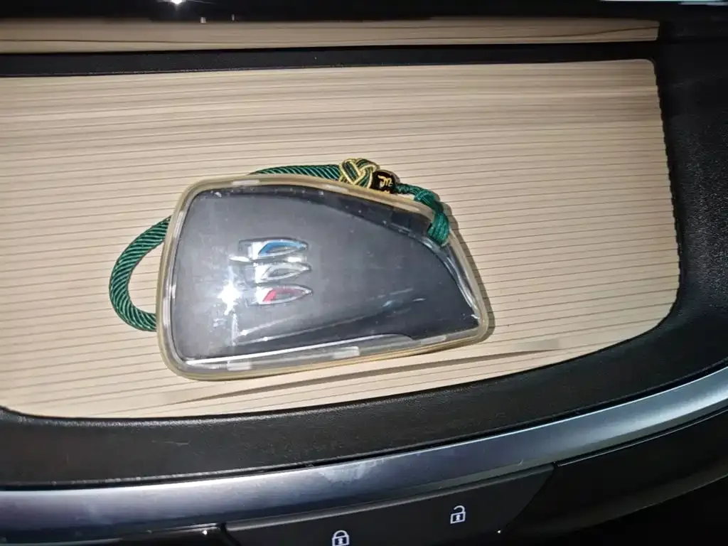 Buick GL8 Hybrid — фото 9