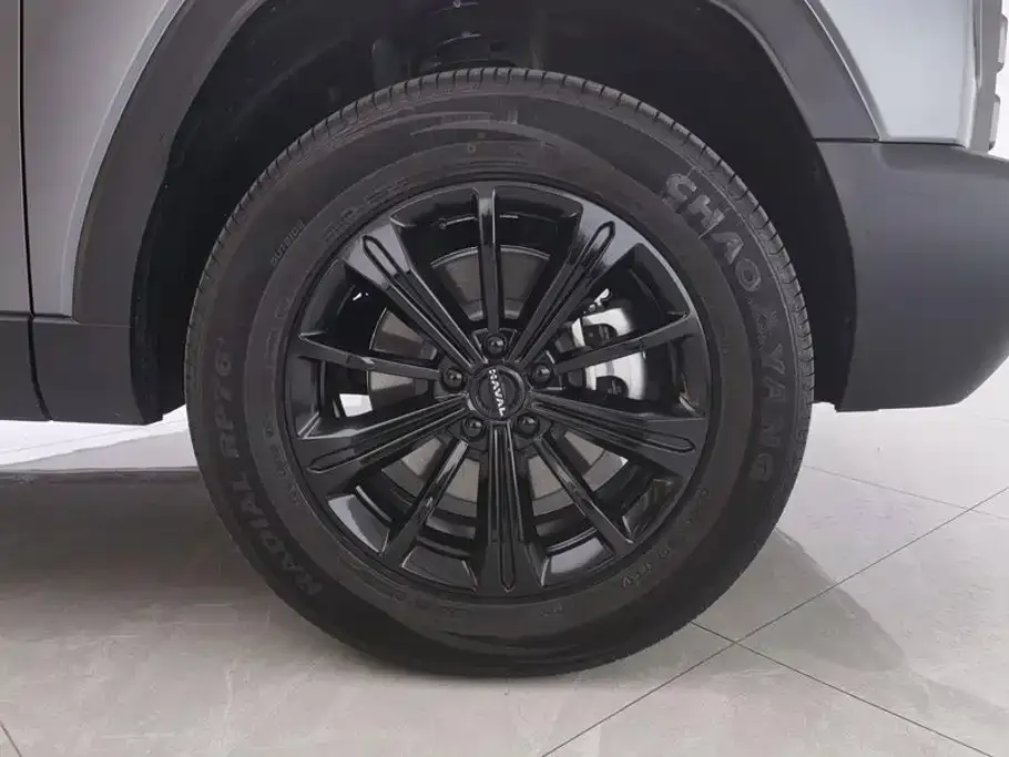 Haval Menglong New Energy — фото 10