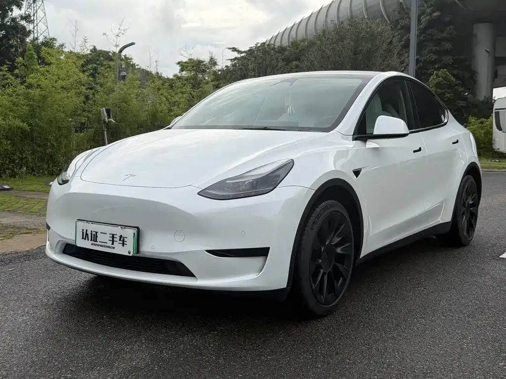 Tesla Model Y — фото 1