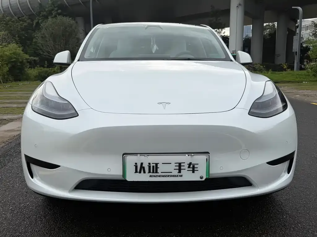 Tesla Model Y — фото 3