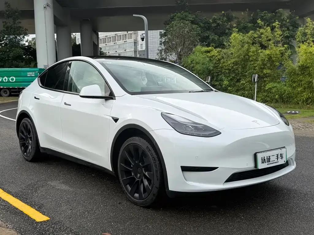 Tesla Model Y — фото 6